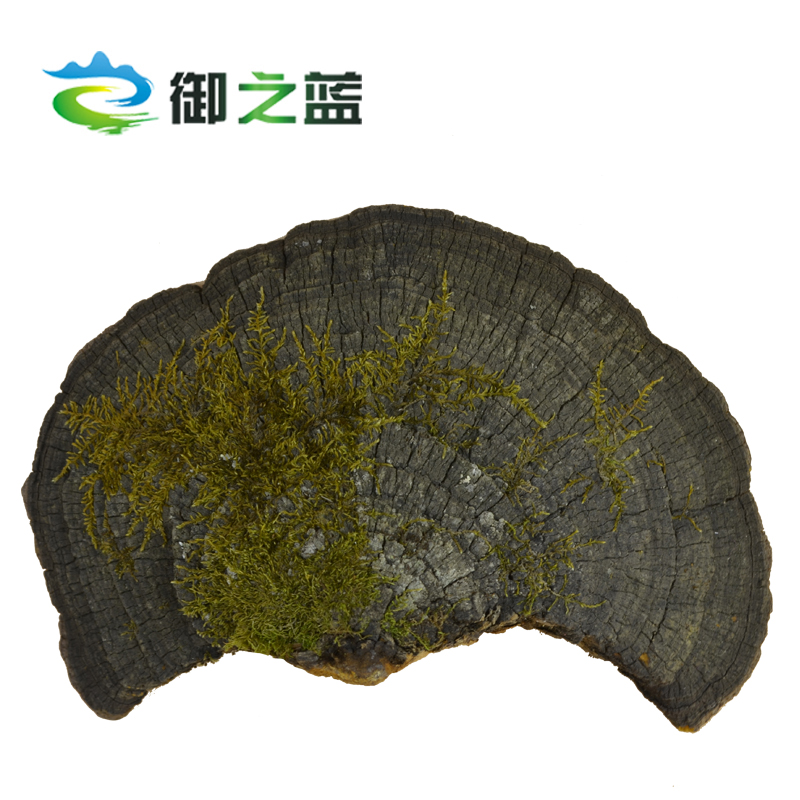 Royal Blue Changbai Mountain wild Mulberry yellow Ganoderma lucidum deep mountain growth whole clove Mulberry Yellow Linzhi slices 250g Buy 3 get 1