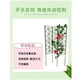 Суд приюта для цветов Теня Роза Рентгенов Рентестование Лотос Лотос Замок Корт -Экрана садовая сетка Роза