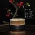 Jianshan Pills 4 Copper Kim cắm hoa Nhật Bản Sắp xếp hoa Đài Loan Công cụ đặc biệt Hop Flower Shop Tea House Art Art Arrangement - Nguồn cung cấp vườn chậu trồng hoa Nguồn cung cấp vườn