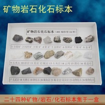 Mineral rock fossil specimens 24 kinds of rock fossils geography and geology teaching aids Primary school science teaching instruments