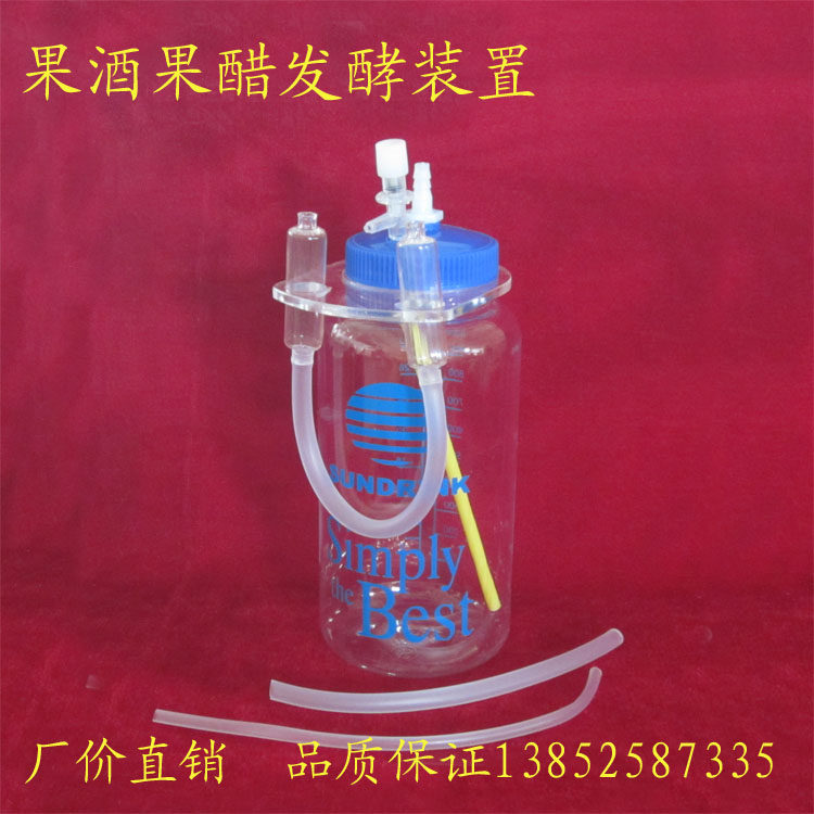 27033 Fruit Wine Fruit Vinegar Fermentation Device High School Biology Experimental Equipment Teaching Instruments