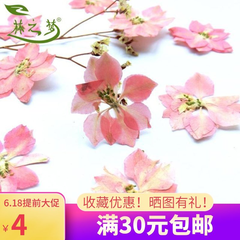 Cherry Blossom Fly Oatmeal Chuckoo Flowers Cuckoo Flower Cuckoo embossed specimen Dry flower Applid Face Makeup Drop Glue Mobile Phone Protective Shell Dry Flower Diy Material