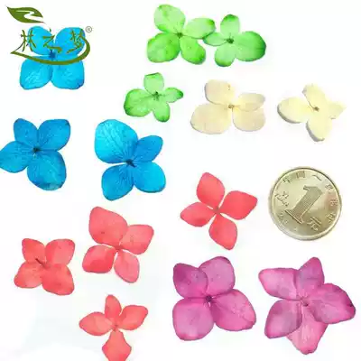 Hydrangea beauty sakura flower specimen DIY dried flower stickers face photo makeup bookmark greeting card mobile phone protective shell epoxy material