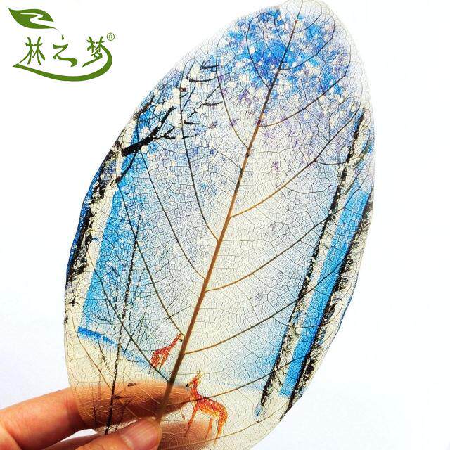 Spring, summer, autumn and winter living room study decorative painting leaf specimen painting lotus real leaf table hanging painting new year gift