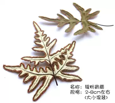 White pressed flower leaf specimen anti-white leaf leaf hemp leaf silver ge leaf diy dried flower greeting card mobile phone protective shell epoxy material