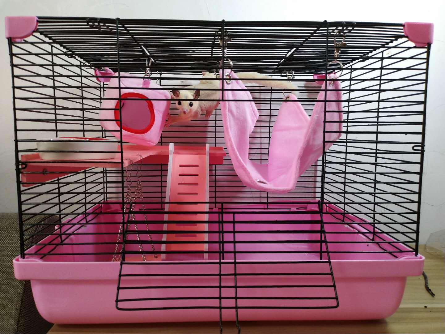 Honey bag glider cage squirrel chinchilla flying squirrel squirrel raising guinea pig devil king golden flower snow large villa