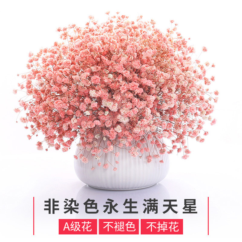 Starry dried flowers Real flowers Natural decoration net red ins large bouquet Bedroom living room decoration with vase