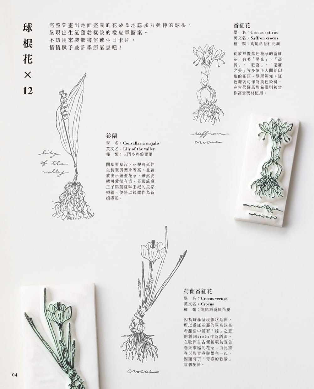 预订 手绘植物风橡皮章应用图帖不刻印章作为刺绣图案布花蕾丝编织的参考图也ｏｋ 生活类书籍eb新手作