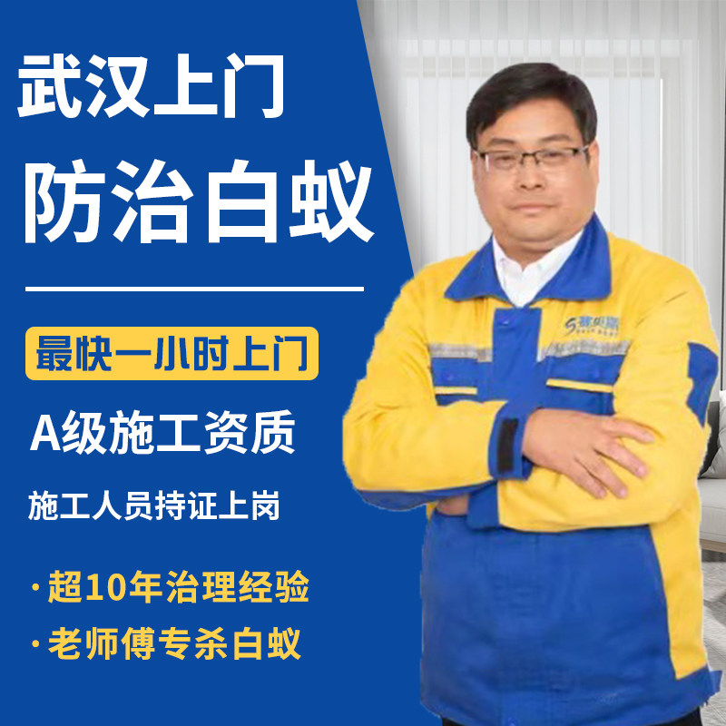 Wuhan door-to-door termite control Ant family termite control prevention professional treatment insecticidal testing service company