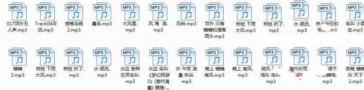 高端音效素材库大全 世界经典音效库素材 配乐电台专用各类音效