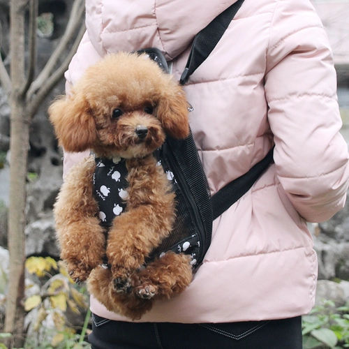 Рюкзак для выхода на улицу, портативный ранец