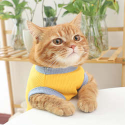 Cute Bear Labeled Vest Cat Clothes Summer Thin Kitten Ragdoll Spring Blue Cat Pet Spring Thick Style