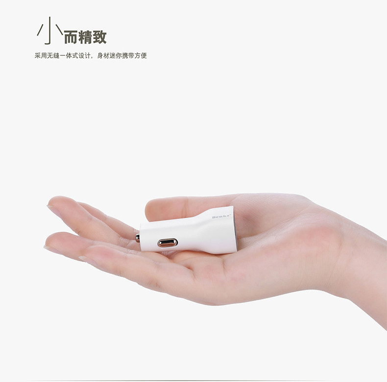 chargeur BENKS 2A - Ref 1299052 Image 11