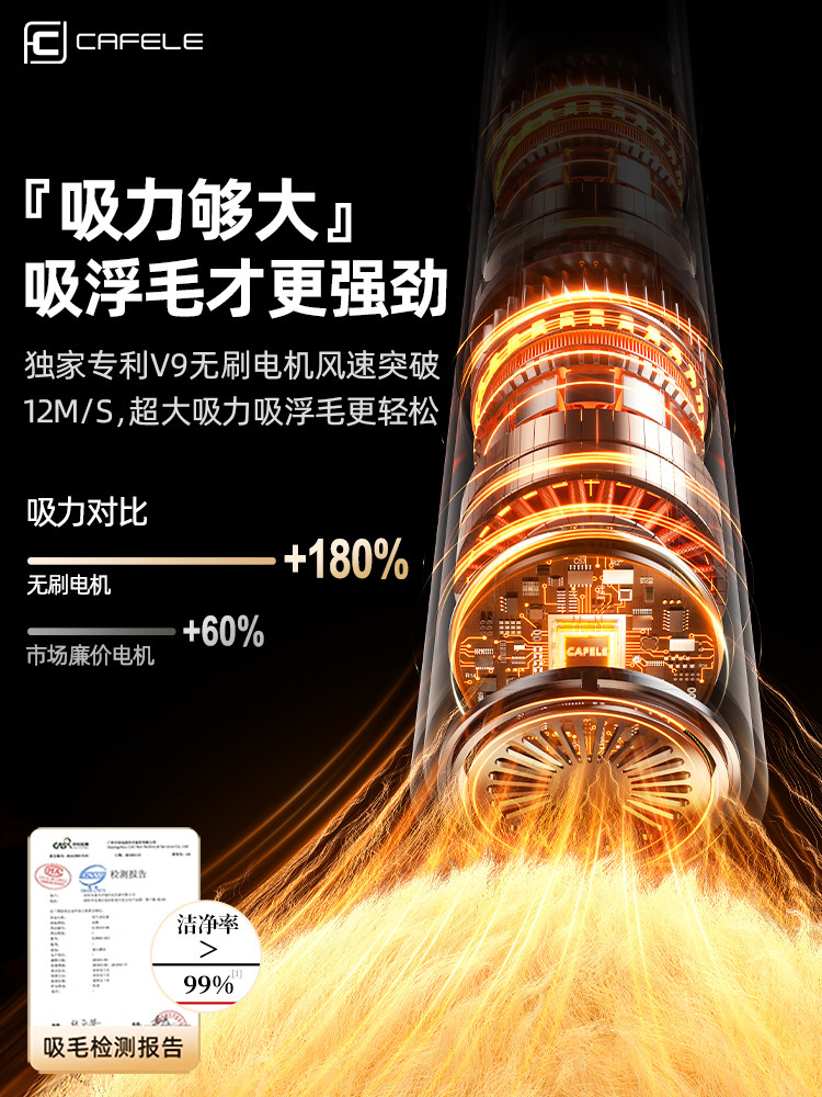 Automatic Pet Hair Remover for Cats and Dogs, Handheld Small Wireless Vacuum Cleaner for Home Use on Beds