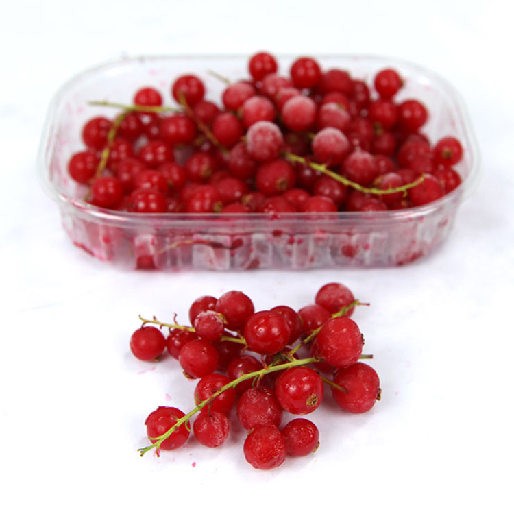 红加仑图片大全,红加仑黑加仑图片,红加仑图片_大山谷图库