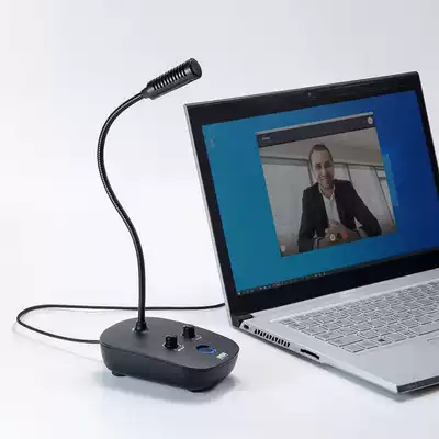 Japan SANWA microphone short film recording trembles fast flashlight brain live broadcast network Class K song Noise Reduction Microphone