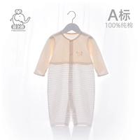 XN7556 Абрикосовый цвет