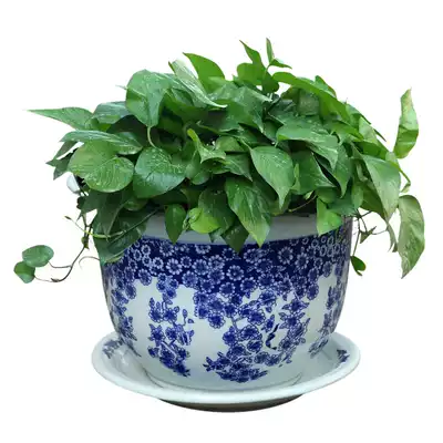 Jingdezhen ceramic blue and white porcelain flowerpot with chassis various specifications of bonsai