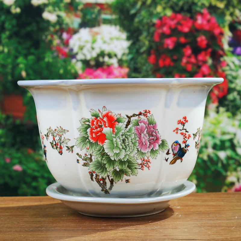 Jingdezhen Ceramicer Flower Pots Tree Basin With Nursery Seed Hair Treasure Tree Blue Flower Pots Gold Graspberry Flowers Peony