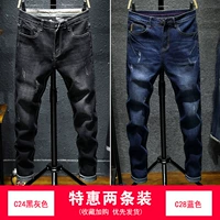 C24 Black Grey+C28 Blue