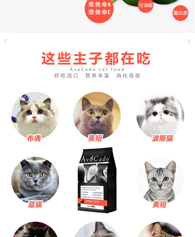 Avocado Cat Food Young Cat Natural Valley Free Salt Beauty Hair Removal Hair Ball Deep Sea Fish Cat Main Food 1,5kg - Cat Staples