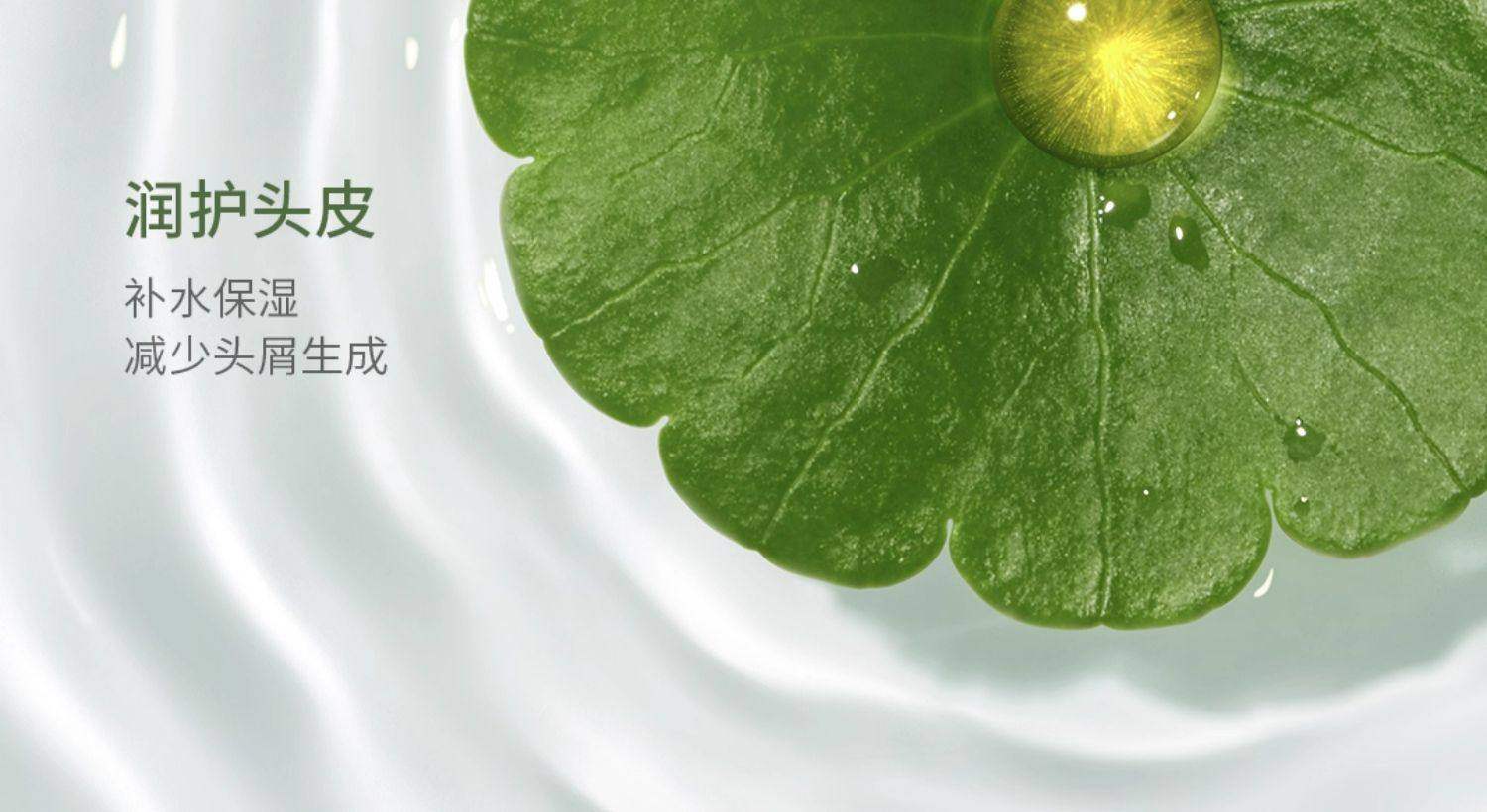 袋鼠妈妈洗护套装洗发水沐浴露护发素天然备孕护肤品专用官方店 — 12