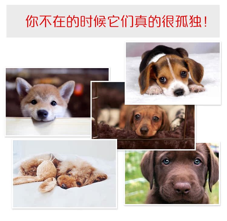 Chó cưng và chó đồ chơi Mengdi cắn môi đỏ cắn Teddy Bomei Jinmao chó lớn và vừa - Mèo / Chó Đồ chơi đồ chơi thú cưng