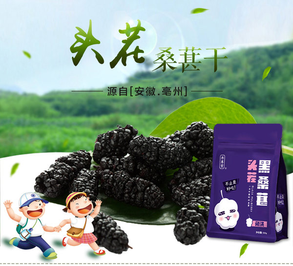 补肝益肾 存誉堂 黑桑葚干 250g*2袋  优惠券折后￥32.8包邮