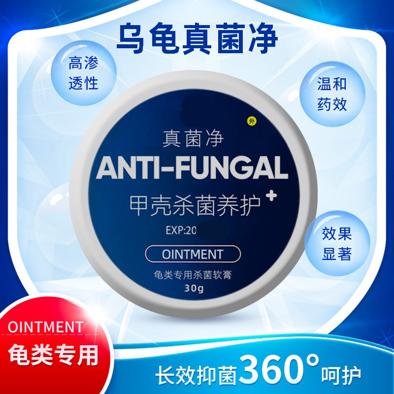 Turtle fungus net tortoise water turtle Brazilian semi-water turtle shell hair white tortoise shell fungus tannin ointment reptile