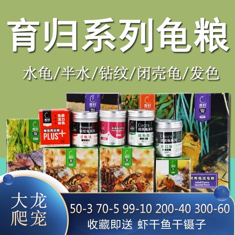 Breeding turtle food Conservation Semi-aquatic young turtle coloring turtle seedlings Brazilian turtle feed sinking diamond pattern turtle hair color closed shell