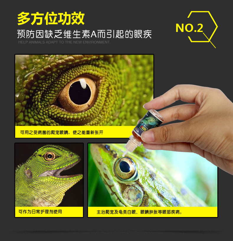 Rùa nước, rùa, rùa, thằn lằn, thuốc nhỏ mắt, bịt mắt, mắt trắng, không có mắt, thuốc nhỏ mắt, chống viêm, kháng khuẩn, GYP - Thuốc nhỏ mắt oflovid 5ml