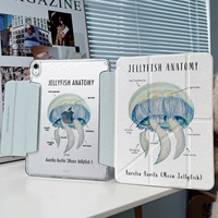 【Акриловая пряжка √compatible Pen Cover √no Pen Slot】 Анализ медуз