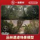 Unity3D Urp Jungle Forest Ruins Scene Model Jungletropicalvegetation3.3.1