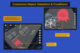 Unity Easy Grid Builder Pro 1.1.2 Is a Game-Building Tool That Builds Grid-Based Scenes