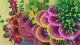 Unity Underwater World Coral Reef Underwater Plant Environment Scene Model Aquarium Fishing Game Decoration