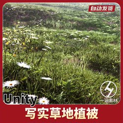 Unity Realistic Grassland Vegetation Model Realistic Plants Realistic Meadow 2022.0.1 Urp