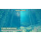 Unity Urp Underwater Water Surface Material Rendering Effect Shader Water 2 1.2.5