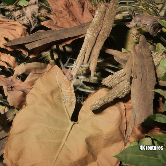 Unity3D Urp Jungle Forest Ruins Scene Model Jungletropicalvegetation3.3.1