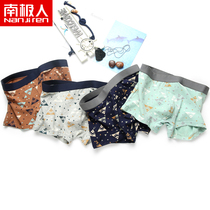 Antarctic man mens underwear mens flat pants solid color cotton breathable four-angle bottom pants youth cute shorts head