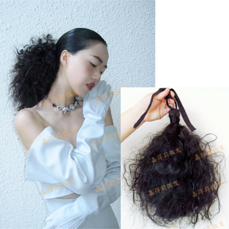 Retro Wool Curls Afro Matte High-Temperature Fiber Wig Photography Catwalk Styling Low Ponytail