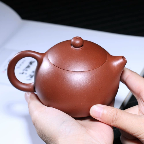 [Changtao] yixing Zisha Pot Bubble Teapot Pottery Build