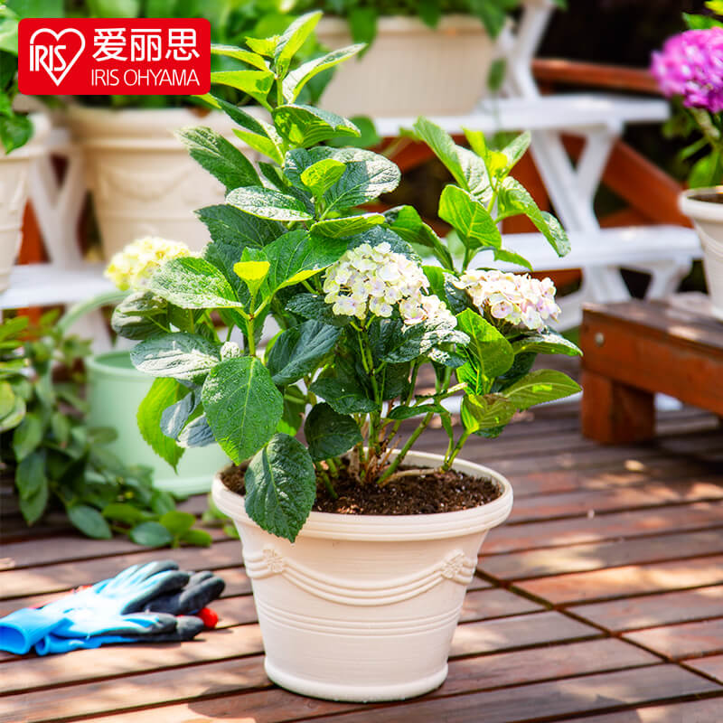 IRIS Round Flower Pot Resin Corrugated Flower Pot Plastic Flower Pot Multi Meat Big Caliber Thickened Flower Pot