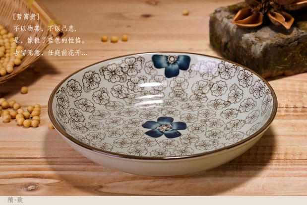 Nhật Bản men màu bộ đồ ăn bằng gốm tấm tấm bít tết khách sạn sáng tạo bữa ăn phương tây tấm đĩa hộ gia đình đĩa cá đĩa - Đồ ăn tối đĩa tròn