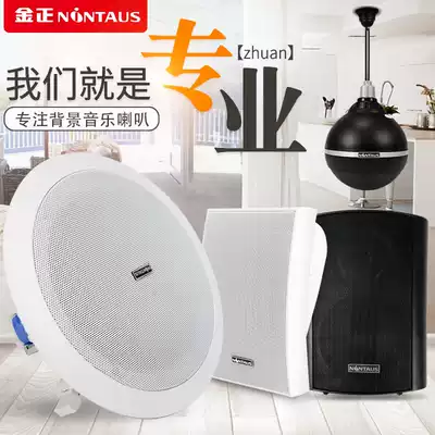 NINTAUS Kim Jong Ceiling Broadcasting Suspended Ceiling Wall-mounted Hanging Speaker Embedded Lomb Audio Waterproof Sound Post Constant Pressure Public Broadcasting Shop Background Music Speaker