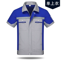 Серый с баоланским коротким верхом