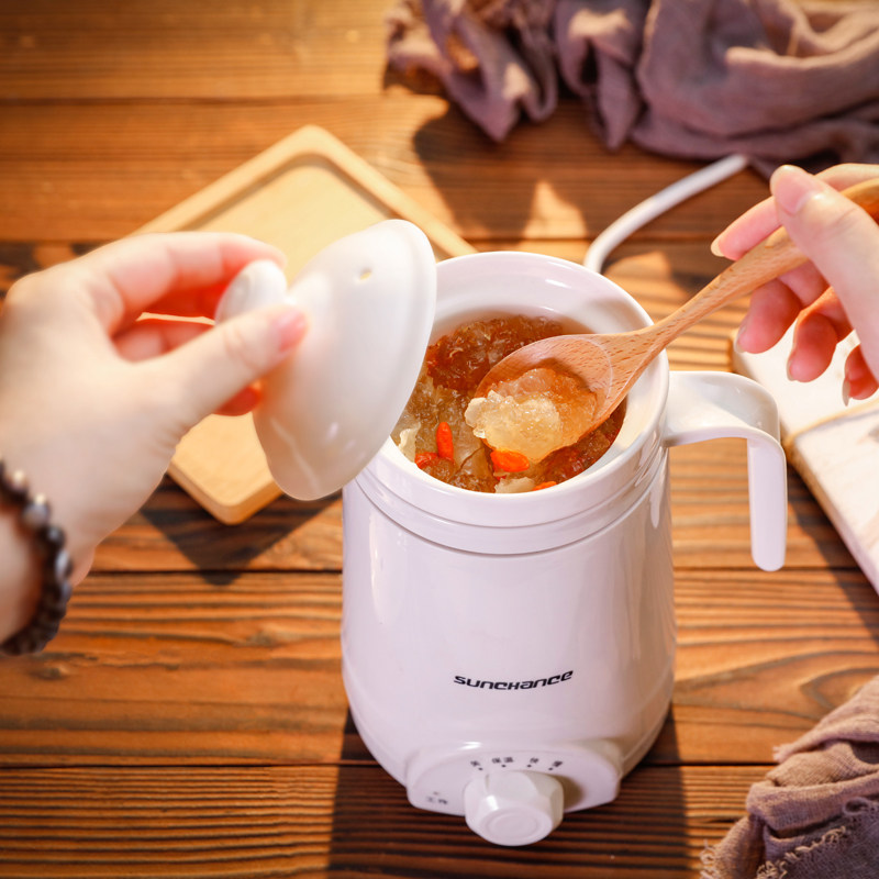 Portable multifunctional ceramic health Cup electric cooker electric cooker automatic mini office heating porridge artifact small 1 person 2
