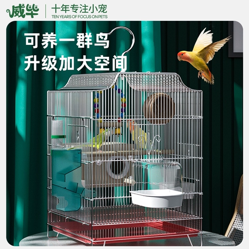 Клетка попугая