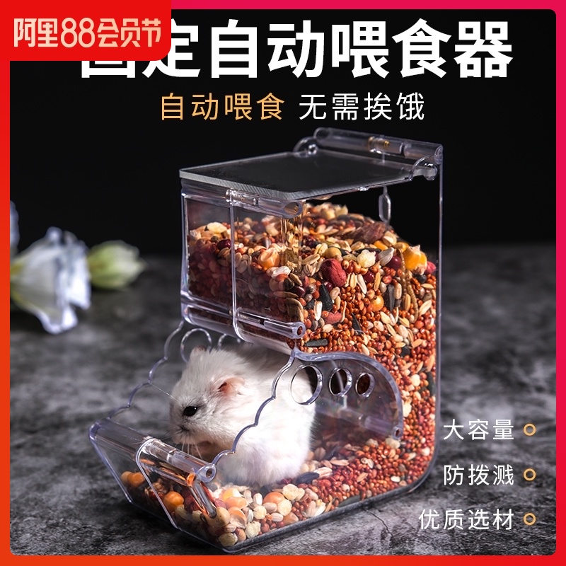 Hamster supplies Automatic feeder Drinking water fountain Golden bear food box Dutch pig hedgehog molar snacks Hamster food basin