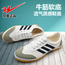 Double star sports shoes volleyball shoes canvas shoes track and field shoes mens and women training shoes soft bottom