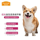 McFoodie Dog Food Puppy Food 2.5kg ໂພຊະນາການ Forest Small Dog Corgi French Bulldog General Beef Flavor 5kg